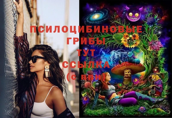 дмт Алексин