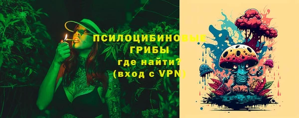 дмт Алексин