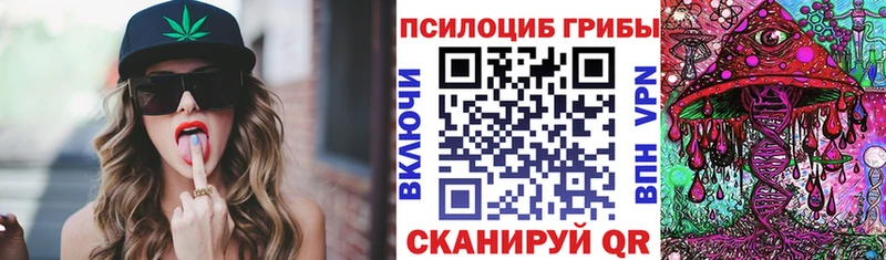продажа наркотиков  Юрьев-Польский  Псилоцибиновые грибы MAGIC MUSHROOMS 